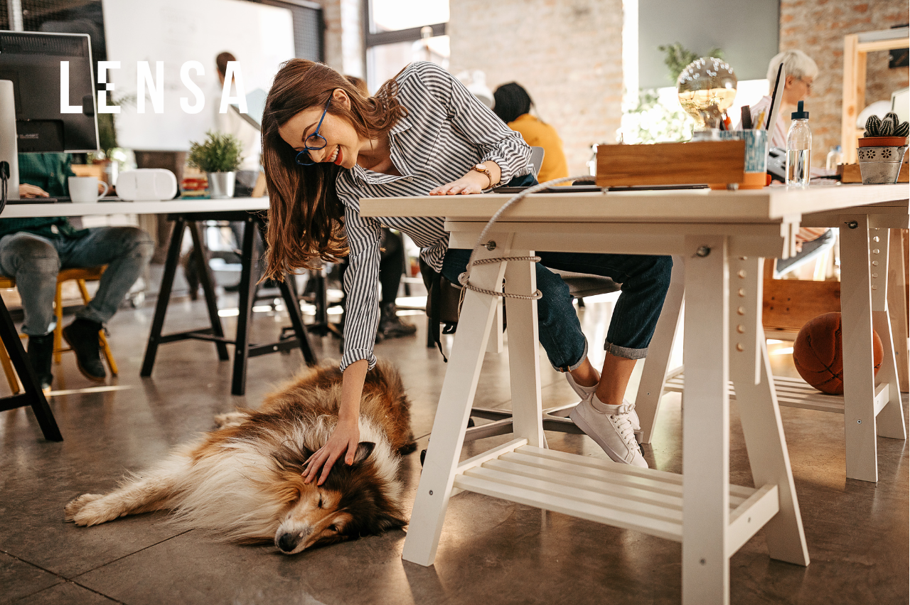 pet friendly companies